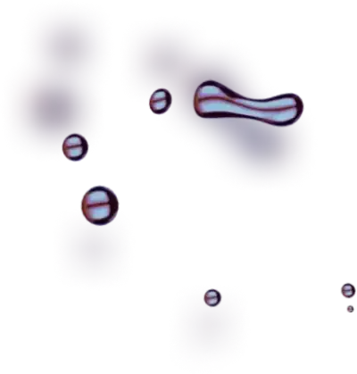 Immediate 0.2 Avita - Experience Maximum Profit with Gas Potential - Take Control of Your Trades